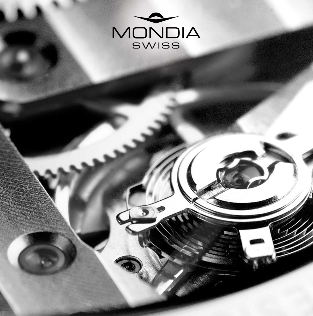 Catalogo Mondia Swiss | Bordegoni SRL agenzia di comunicazione, Milano